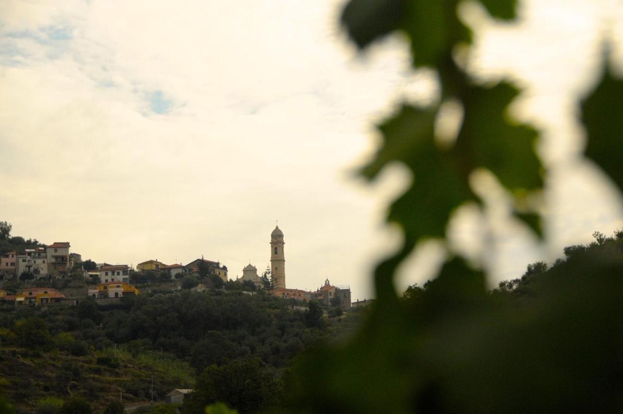 La Casa Del Podere 卡斯泰拉罗 外观 照片