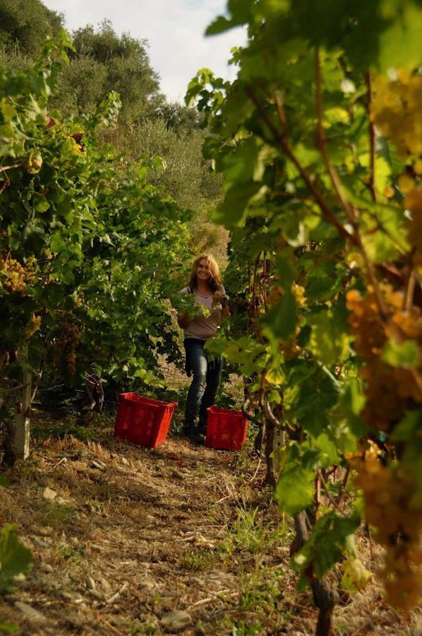 La Casa Del Podere 卡斯泰拉罗 外观 照片