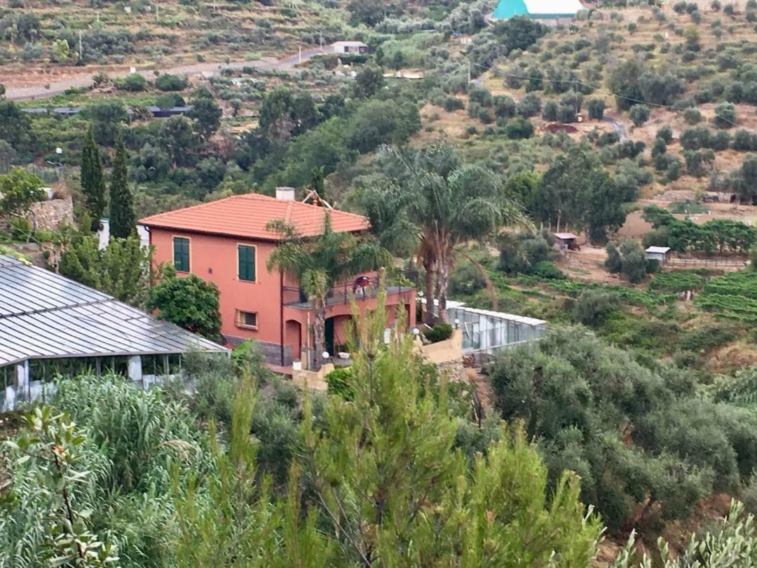 La Casa Del Podere 卡斯泰拉罗 外观 照片